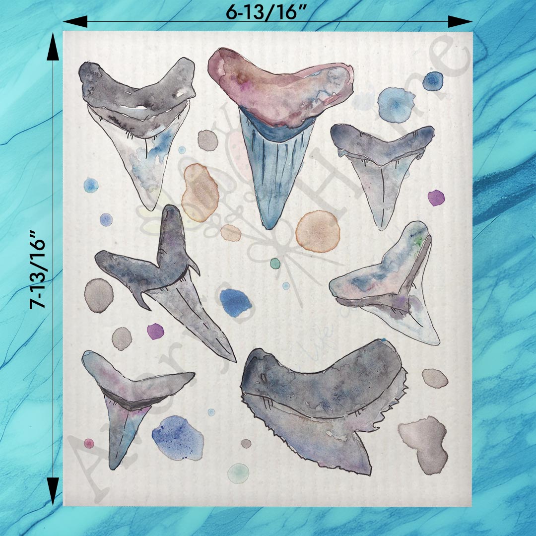 Shark Teeth ID Chart Swedish Dishcloth – Collector Gift