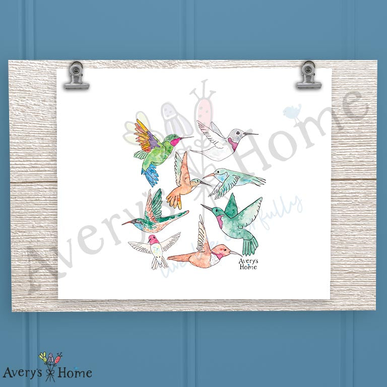 Hummingbirds of North America 16oz Frosted Glass – Birdwatcher Gift