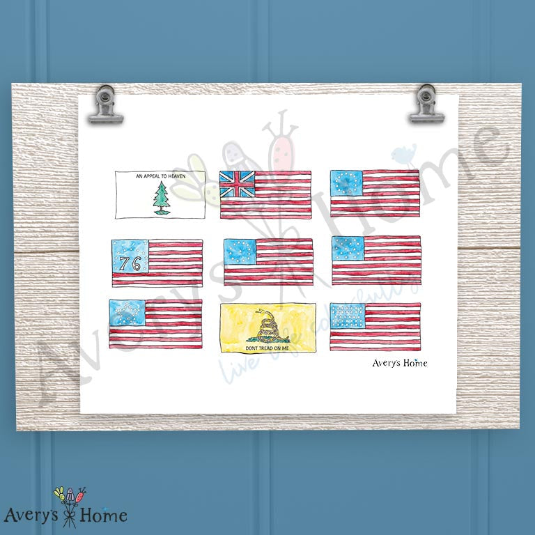 American Flags History 16oz Frosted Glass