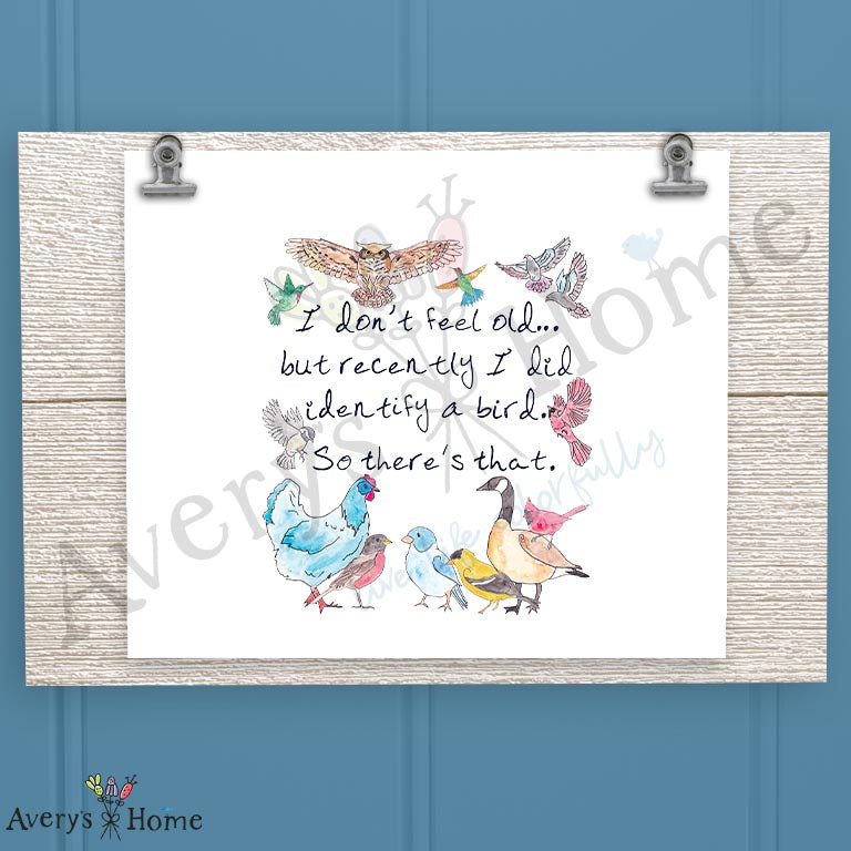 Birds Aging Quote 16oz Frosted Glass – Funny Birthday Gift