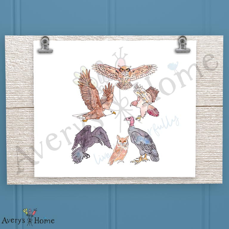 Birds of Prey 16oz Frosted Glass – Raptor Enthusiast Decor