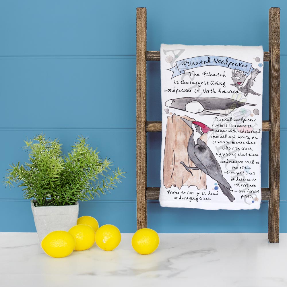 Pileated Woodpecker Birder Garden Kitchen Décor Tea Towel