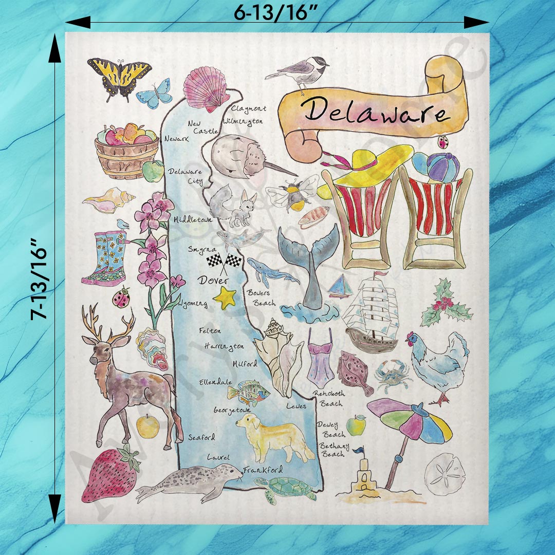 Delaware State Map Swedish Dishcloth – First State Style