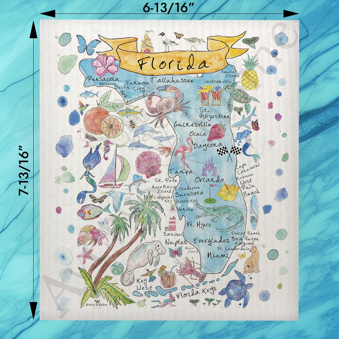 Florida State Map Swedish Dishcloth – Sunshine & Shells