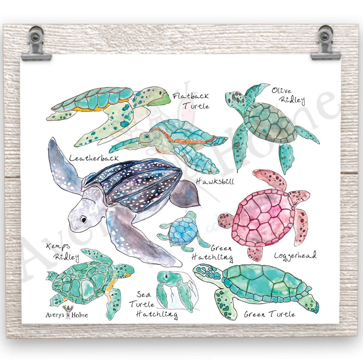 Sea Turtle Species 20 oz Tumbler