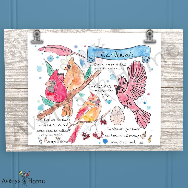 Cardinal Backyard Bird Facts 20oz Skinny Tumbler