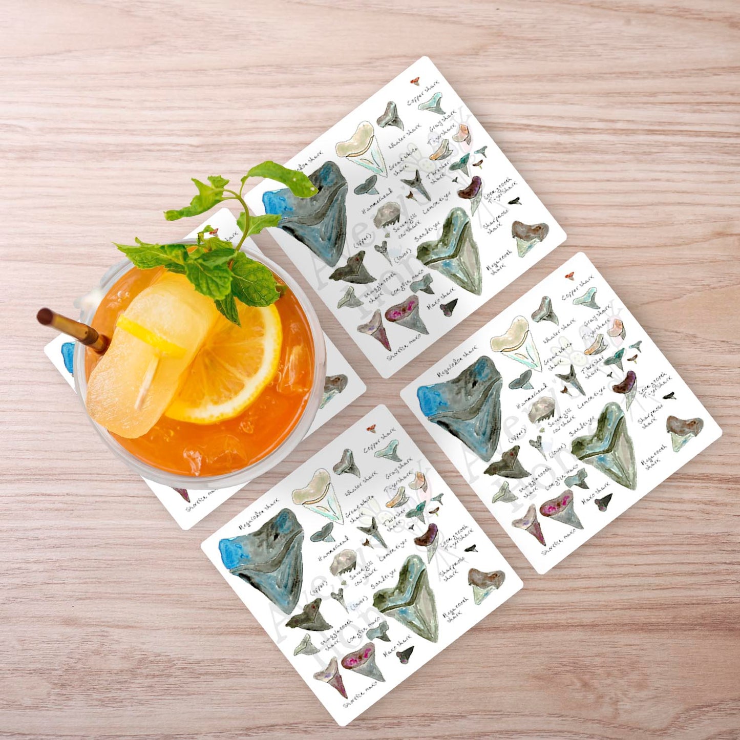 Shark Tooth Collector Stone Coaster
