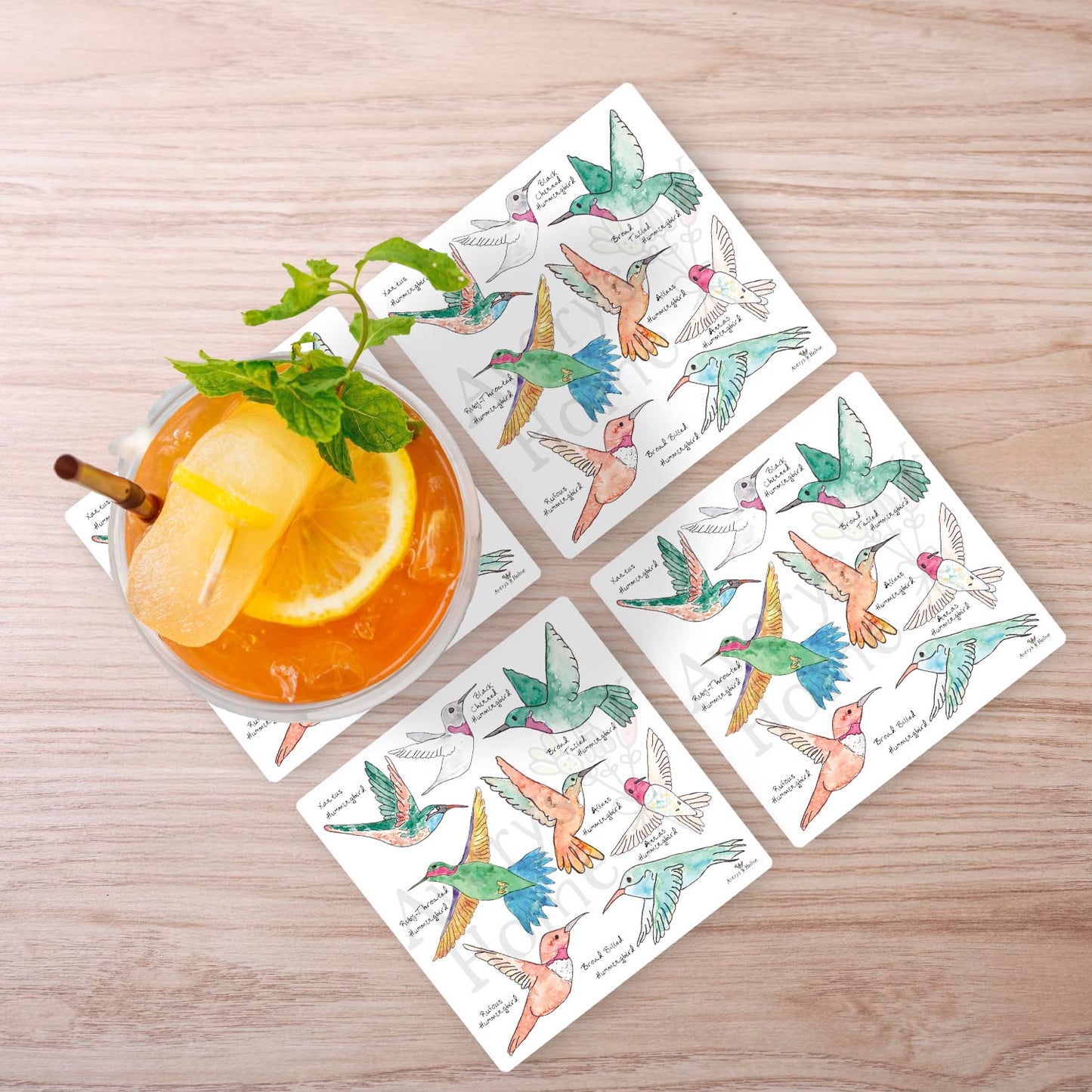 Hummingbirds of North America Stone Coaster