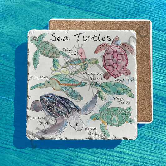 Sea Turtle Breeds Tumbled Stone Trivet – Peaceful Ocean Decor