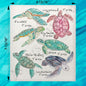 Sea Turtle Breeds Swedish Dishcloth – Peaceful Ocean Decor