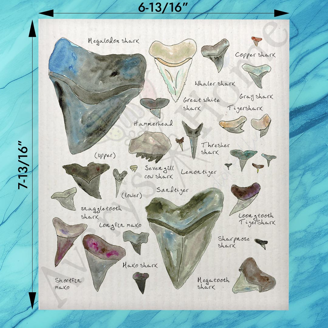 Shark Teeth Collector Swedish Dishcloth – Collector Chart Gift
