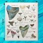Shark Teeth Collector Swedish Dishcloth – Collector Chart Gift