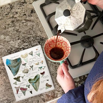 Shark Teeth Collector Swedish Dishcloth – Collector Chart Gift