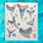 Shark Teeth ID Chart Swedish Dishcloth – Collector Gift