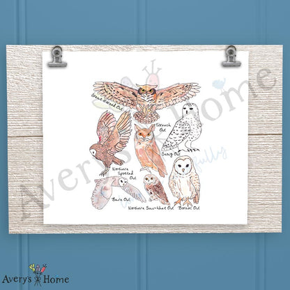Owls of North America 16oz Frosted Glass – Bird Watcher Decor