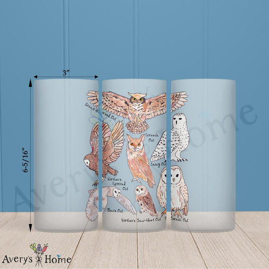 Owls of North America 16oz Frosted Glass – Bird Watcher Decor