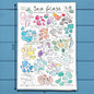 Sea Glass Collector Tea Towel – Coastal Artist Gift