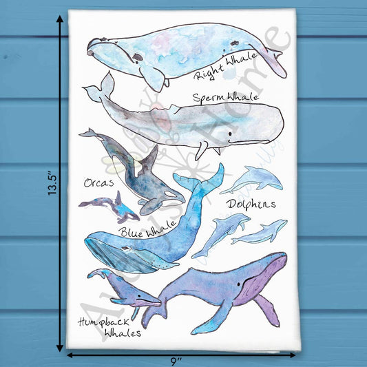 Whale Species Tea Towel – Educational Ocean Decor