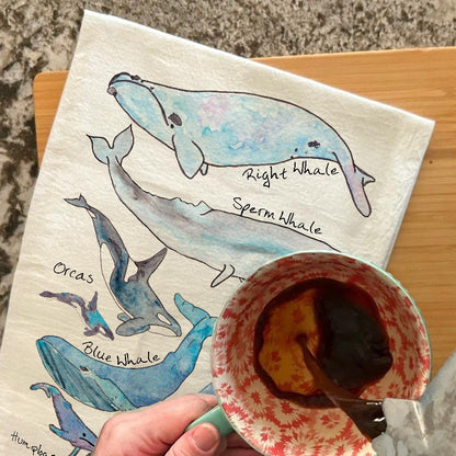 Whale Species Tea Towel – Educational Ocean Decor