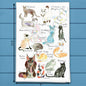 Cat Breeds Tea Towel – Illustrated Feline Gift