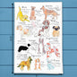 Zodiac Dog Tea Towel – Astrology Pet Gift