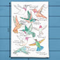 Hummingbirds of North America Tea Towel – Birdwatcher Gift