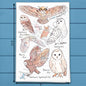 Owls of North America Tea Towel – Bird Watcher Decor