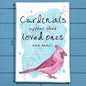 Cardinal Appears Sentimental Kitchen Decor Tea Towel
