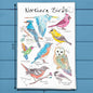 Northern Birds Tea Towel – Backyard Birdwatcher Gift