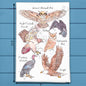 Birds of Prey Tea Towel – Raptor Enthusiast Decor