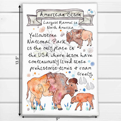 Bison Facts Kitchen Towel