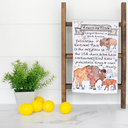 Bison Facts Kitchen Towel