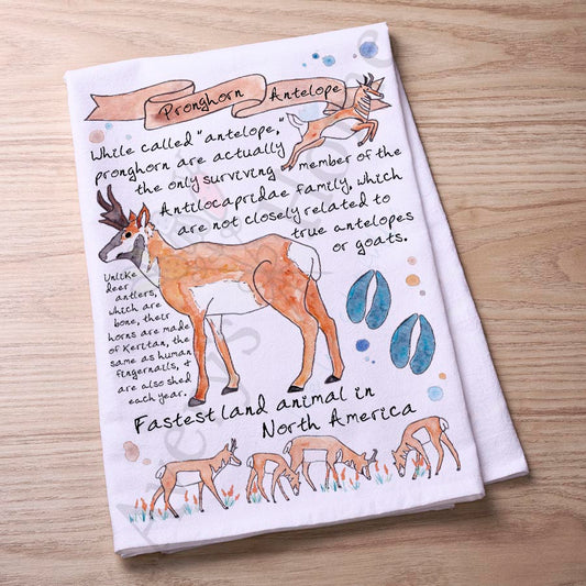 Pronghorn Antelope Facts Kitchen Towel