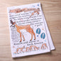 Pronghorn Antelope Facts Kitchen Towel