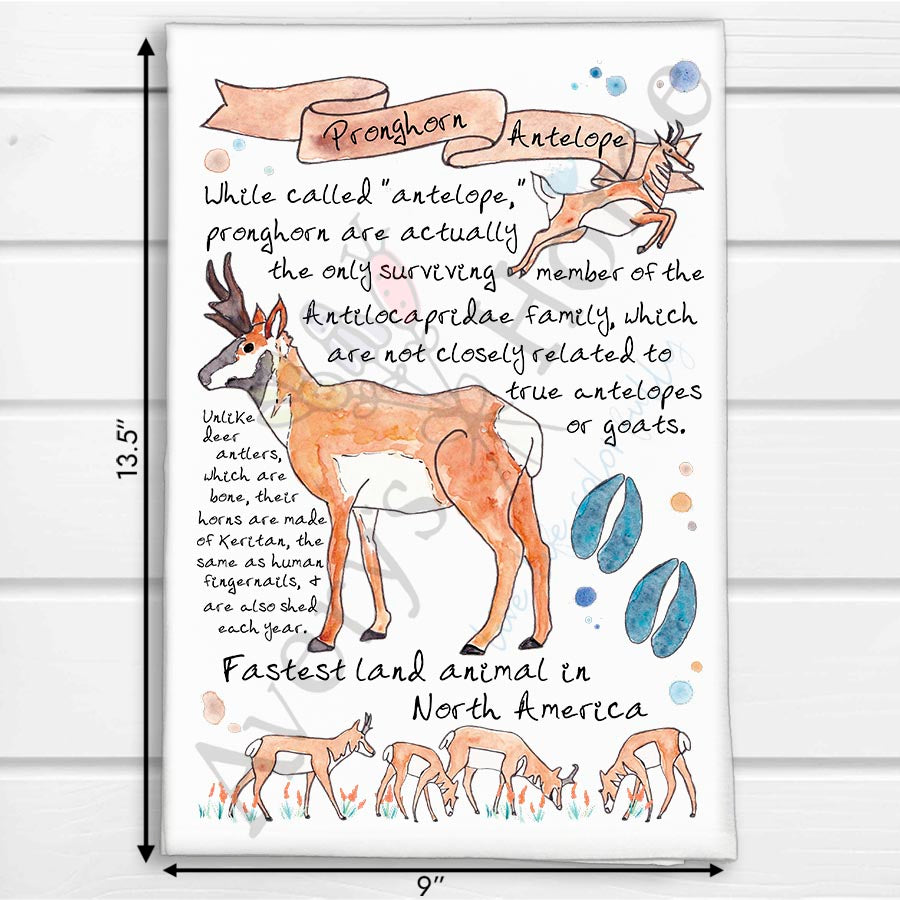 Pronghorn Antelope Facts Kitchen Towel