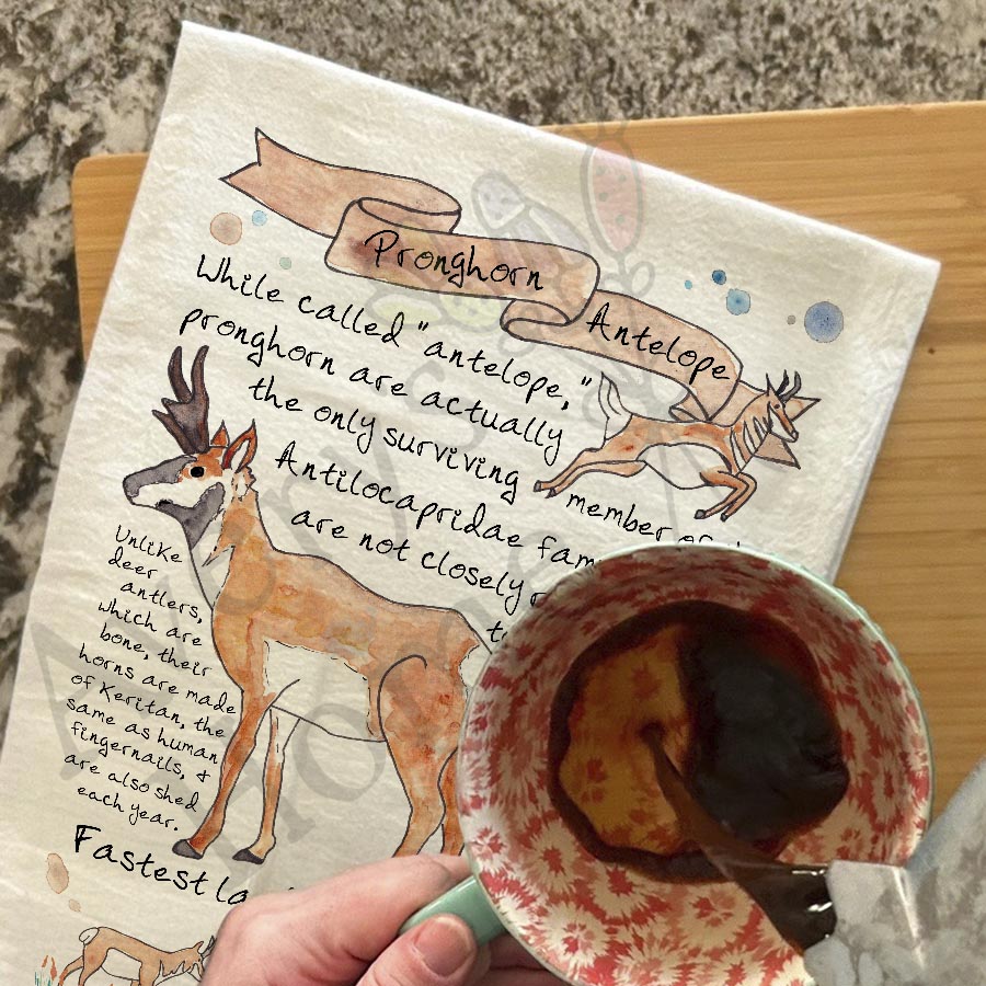 Pronghorn Antelope Facts Kitchen Towel