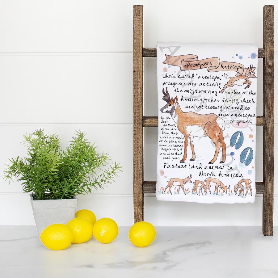 Pronghorn Antelope Facts Kitchen Towel