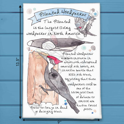 Pileated Woodpecker Birder Garden Kitchen Décor Tea Towel