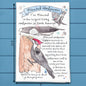 Pileated Woodpecker Birder Garden Kitchen Décor Tea Towel