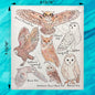 Owls of North America Swedish Dishcloth – Bird Watcher Decor