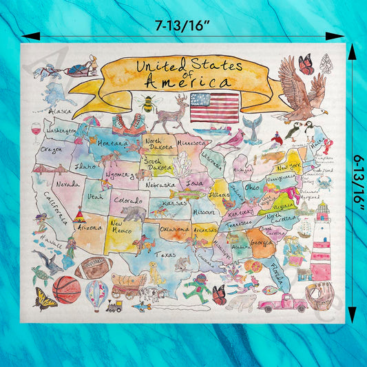 USA Map Swedish Dishcloth – State Travel Souvenir