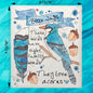 Blue Jay Facts Swedish Dishcloth – Birdwatcher Gift