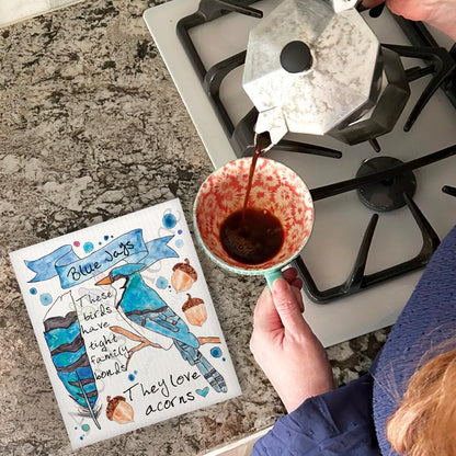 Blue Jay Facts Swedish Dishcloth – Birdwatcher Gift