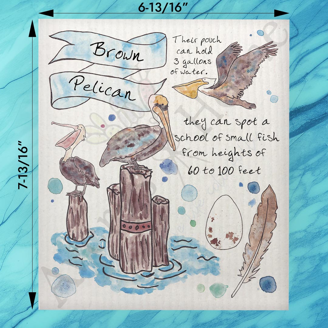 Pelican Bird Facts Swedish Dishcloth – Coastal Wildlife Decor