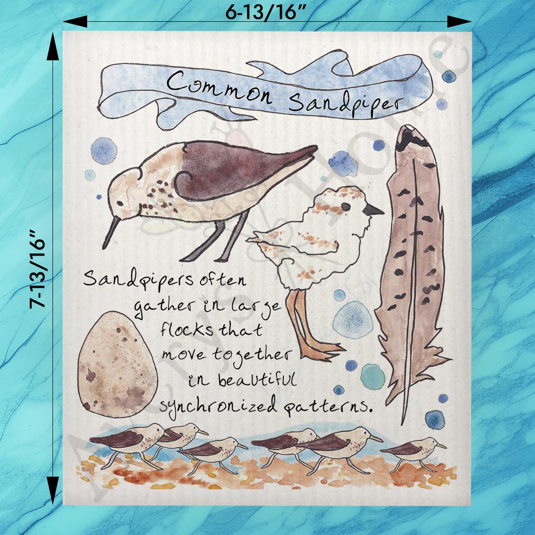 Sandpiper Bird Facts Swedish Dishcloth – Shoreline Decor