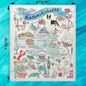 Massachusetts Map Swedish Dishcloth – From Boston to the Cape