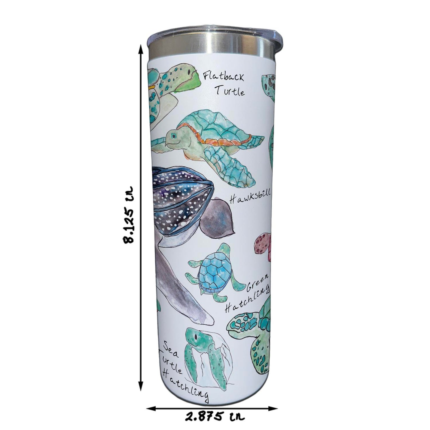 Sea Turtle Species 20 oz Tumbler
