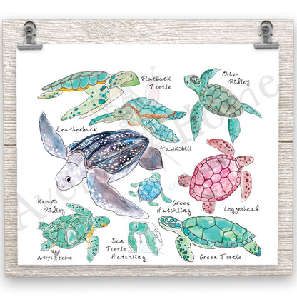 Sea Turtle Species 20 oz Tumbler