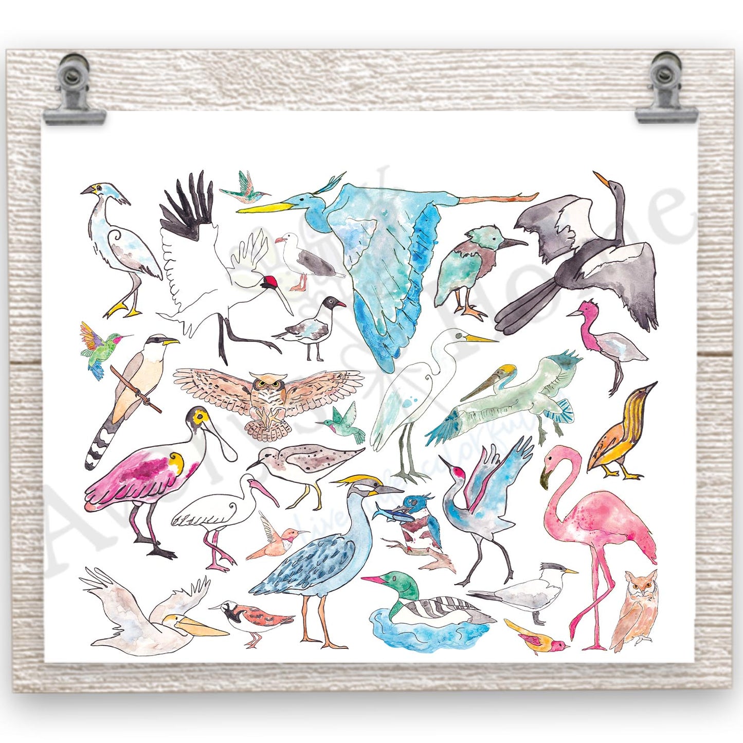 Coastal Birds 20 oz Tumbler