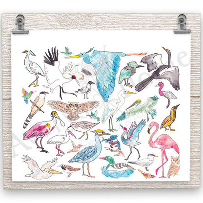 Coastal Birds 20 oz Tumbler